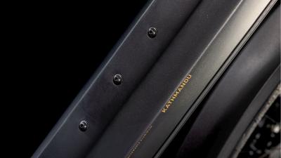 Cube Kathmandu Hybrid SLT 800 golddust'n'black Größe: Easy Entry 50 cm Produktbild 2