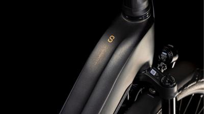 Cube Kathmandu Hybrid SLT 800 golddust'n'black Größe: Easy Entry 54 cm Produktbild 1