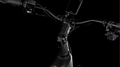 Cube Kathmandu Hybrid SLT 800 golddust'n'black Größe: Easy Entry 54 cm Produktbild 3