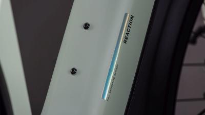 Cube Reaction Hybrid Pro 800 FE desertstone'n'driedherbs Größe: XXL Produktbild 2