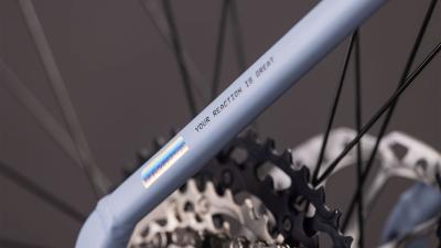 Cube Reaction Hybrid SLX 800 gauzegrey'n'iceblue Gr&ouml;&szlig;e: Easy Entry S Produktbild 4