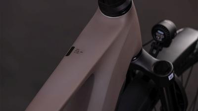 Cube Kathmandu Hybrid EXC 800 cedar'n'chrome Größe: 58 cm Produktbild 1