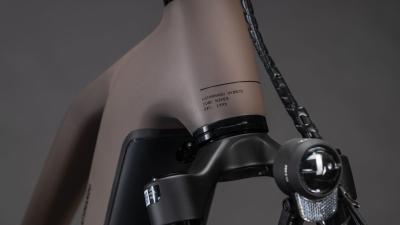 Cube Kathmandu Hybrid EXC 800 cedar'n'chrome Größe: Trapeze 46 cm Produktbild 5