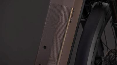 Cube Kathmandu Hybrid EXC 800 cedar'n'chrome Größe: Easy Entry 50 cm Produktbild 3