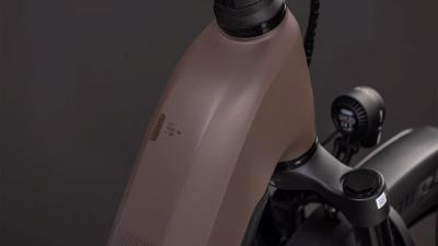 Cube Kathmandu Hybrid EXC 800 cedar'n'chrome Größe: Easy Entry 58 cm Produktbild 1