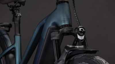 Cube Kathmandu Hybrid SLT 800 duskwood'n'goblin Größe: Trapeze 46 cm Produktbild 4