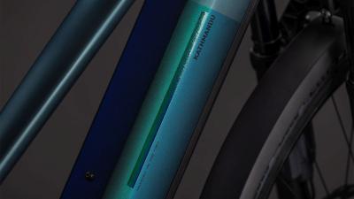 Cube Kathmandu Hybrid SLT 800 duskwood'n'goblin Größe: Trapeze 58 cm Produktbild 2