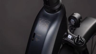 Cube Nuride Hybrid SLX 800 black'n'gold Größe: Easy Entry 54 cm Produktbild 1