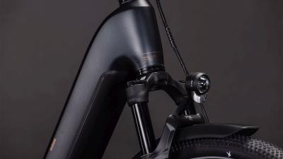 Cube Nuride Hybrid SLX 800 black'n'gold Größe: Easy Entry 54 cm Produktbild 4